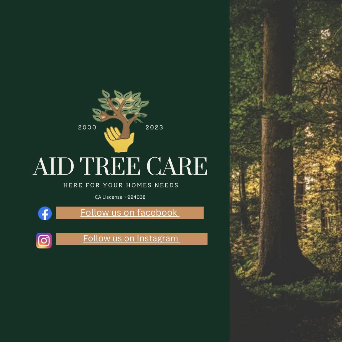 Aid Tree Care | Rialto CA