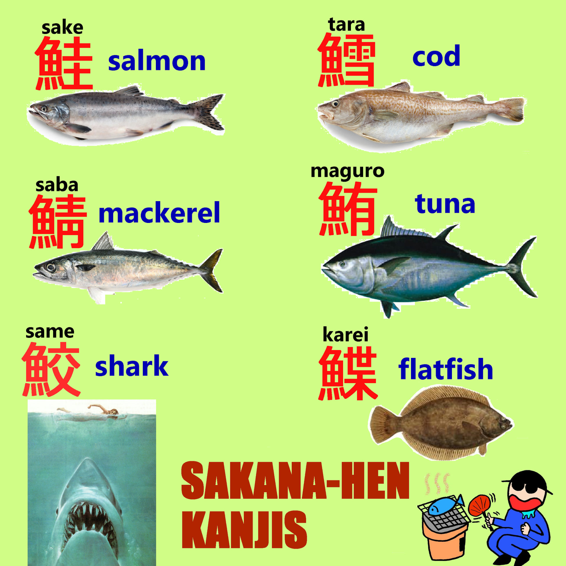 Sakanaページです。 魚 Reading: ▪️ さかな (sakana) Translation: ▪️ fish URL
