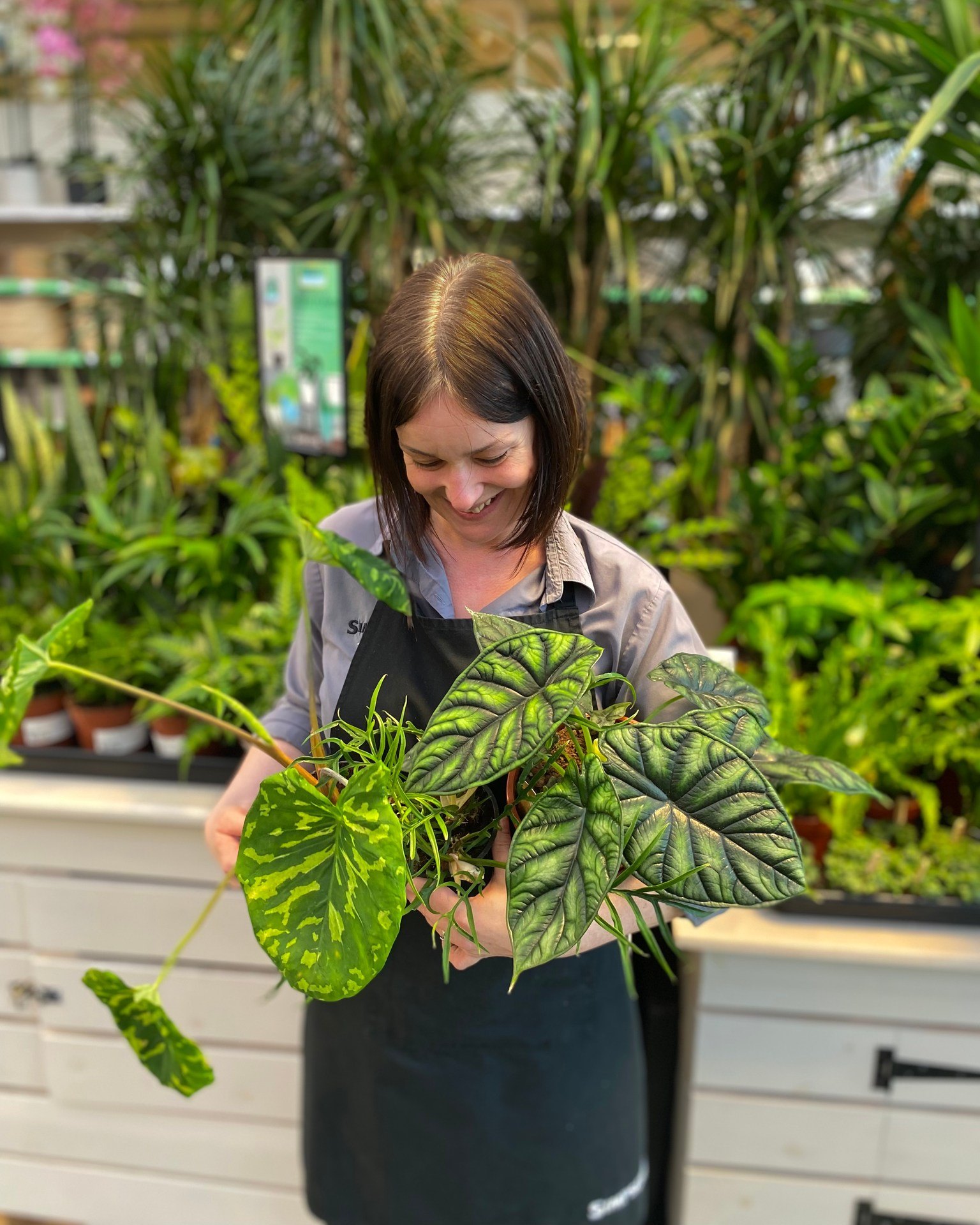 Simpsons - 🌿 It's National Houseplant Week 🌿 House... | Facebook