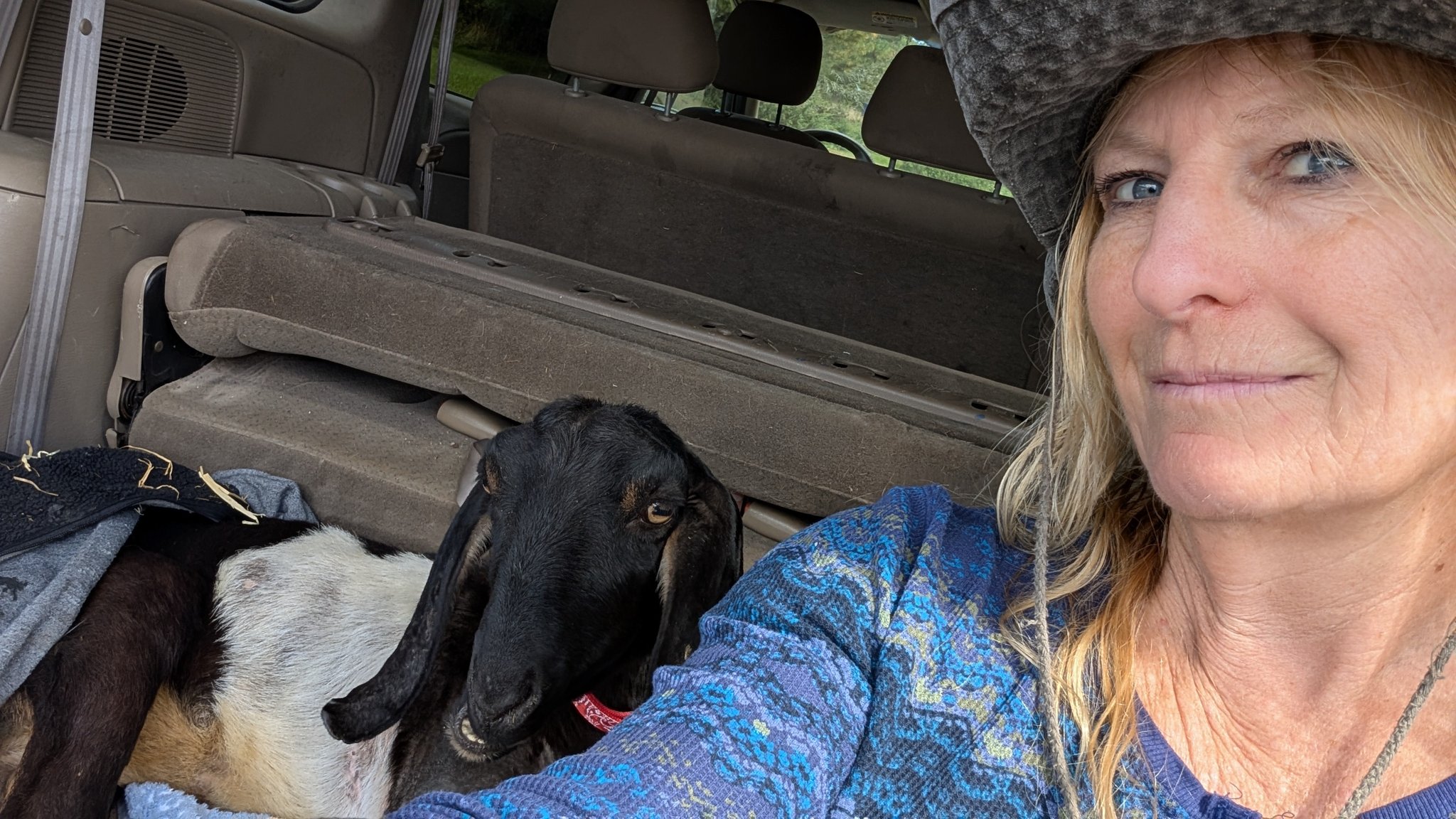 Say a prayer for Billy. So sad to... - Arrowhead Ranch Rescue | Facebook