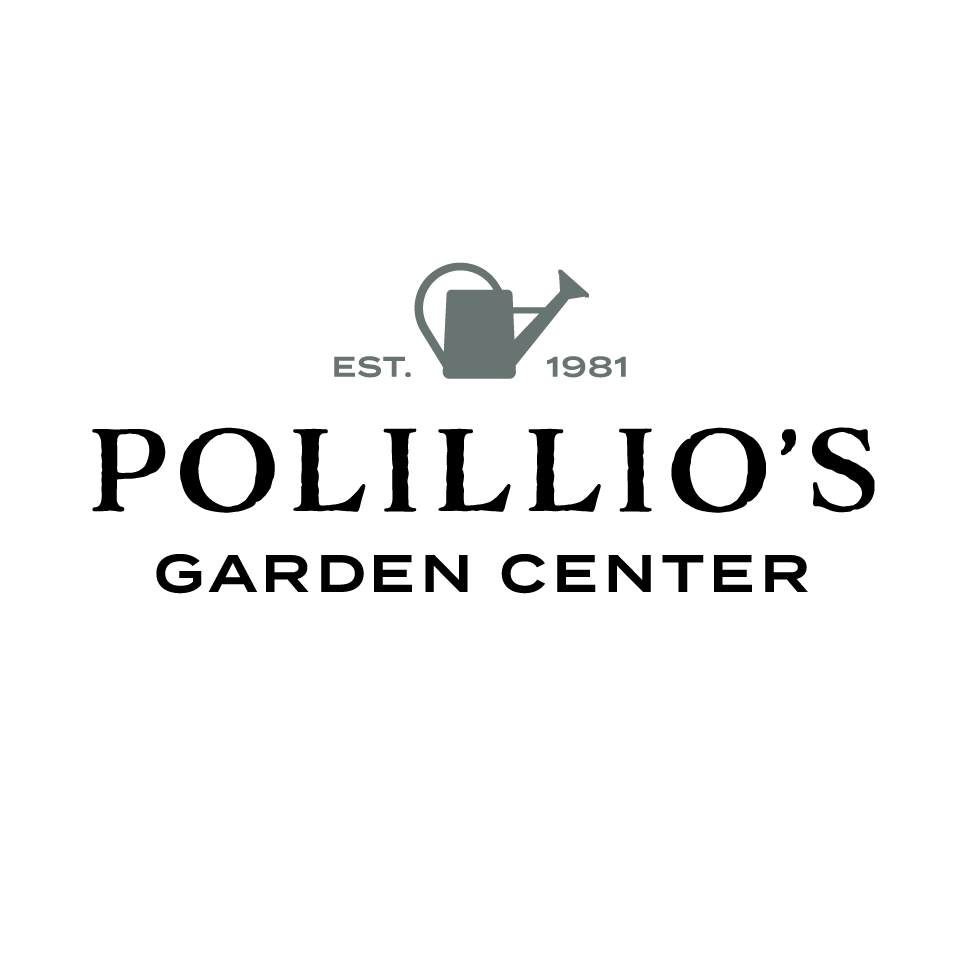 ⭐️ October Shrub Tour ft. Randy ⭐️ All 20% off! #gardencenter ...