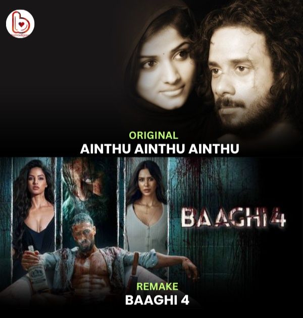 Blog - While the director A Harsha has claimed that Baaghi 4 is an ...