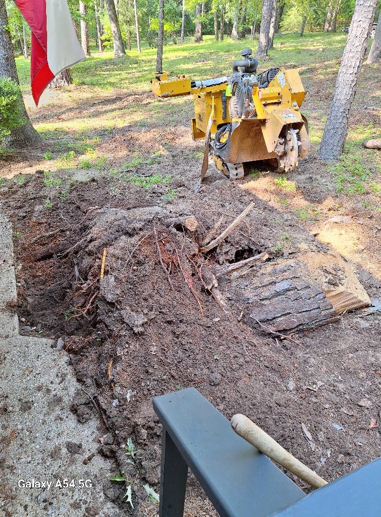 Cutting Edge Stump Removal LLC | Mount Vernon TX