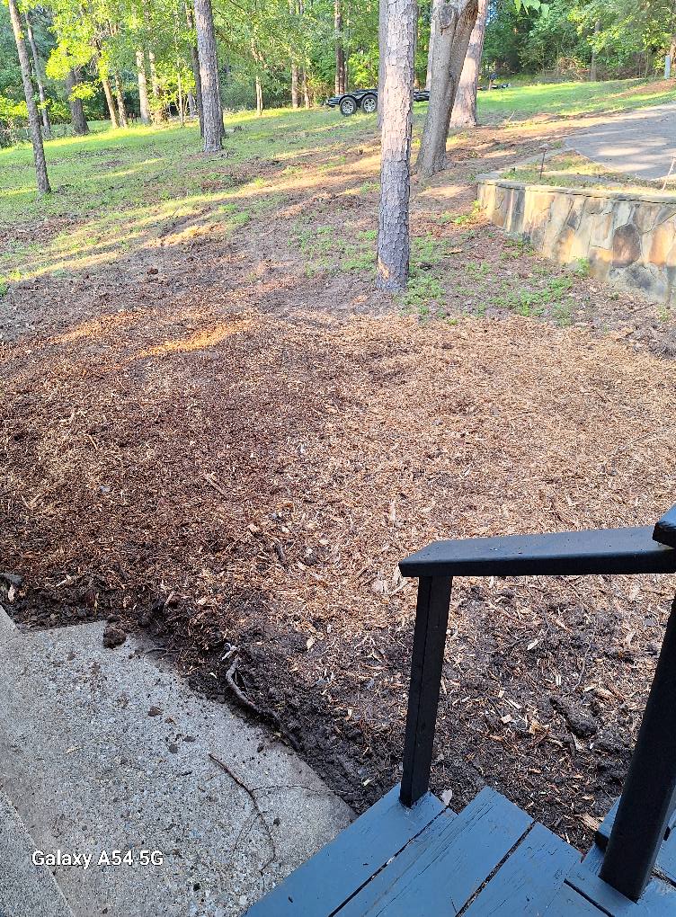 Cutting Edge Stump Removal LLC | Mount Vernon TX