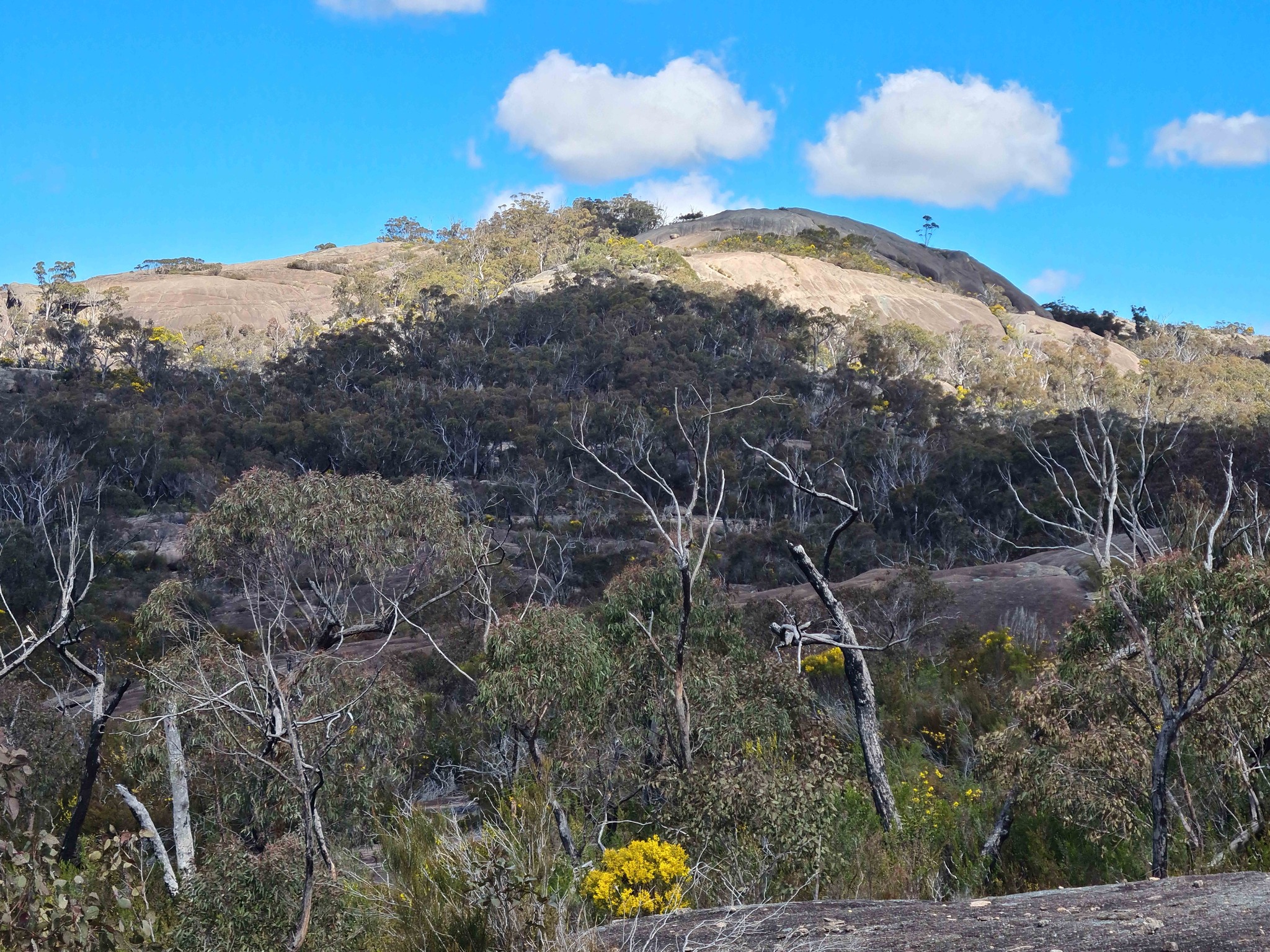 Stanthorpe Field Naturalists