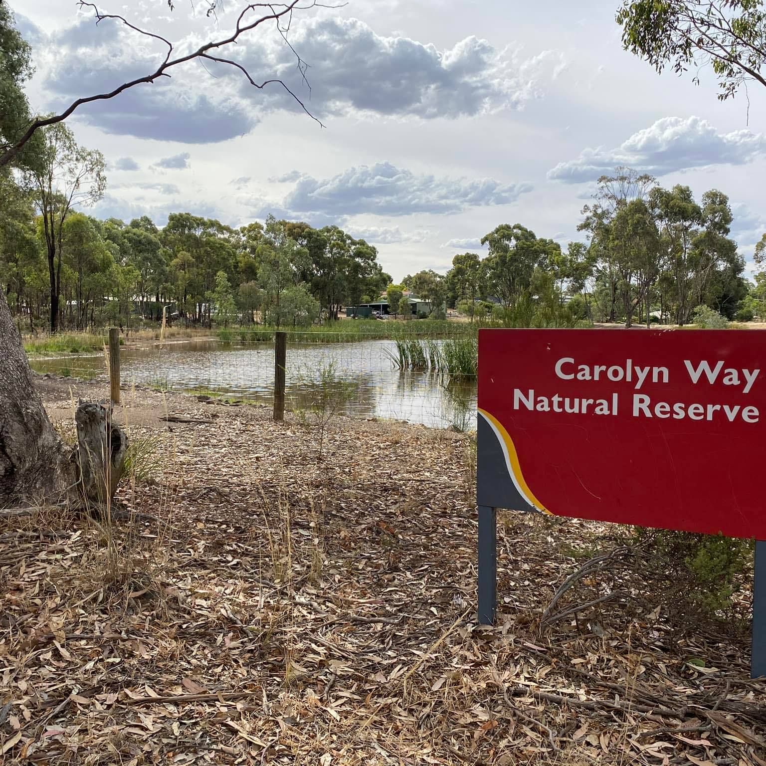 Lockwood Ward Candidate Information Session – Maiden Gully The Maiden ...