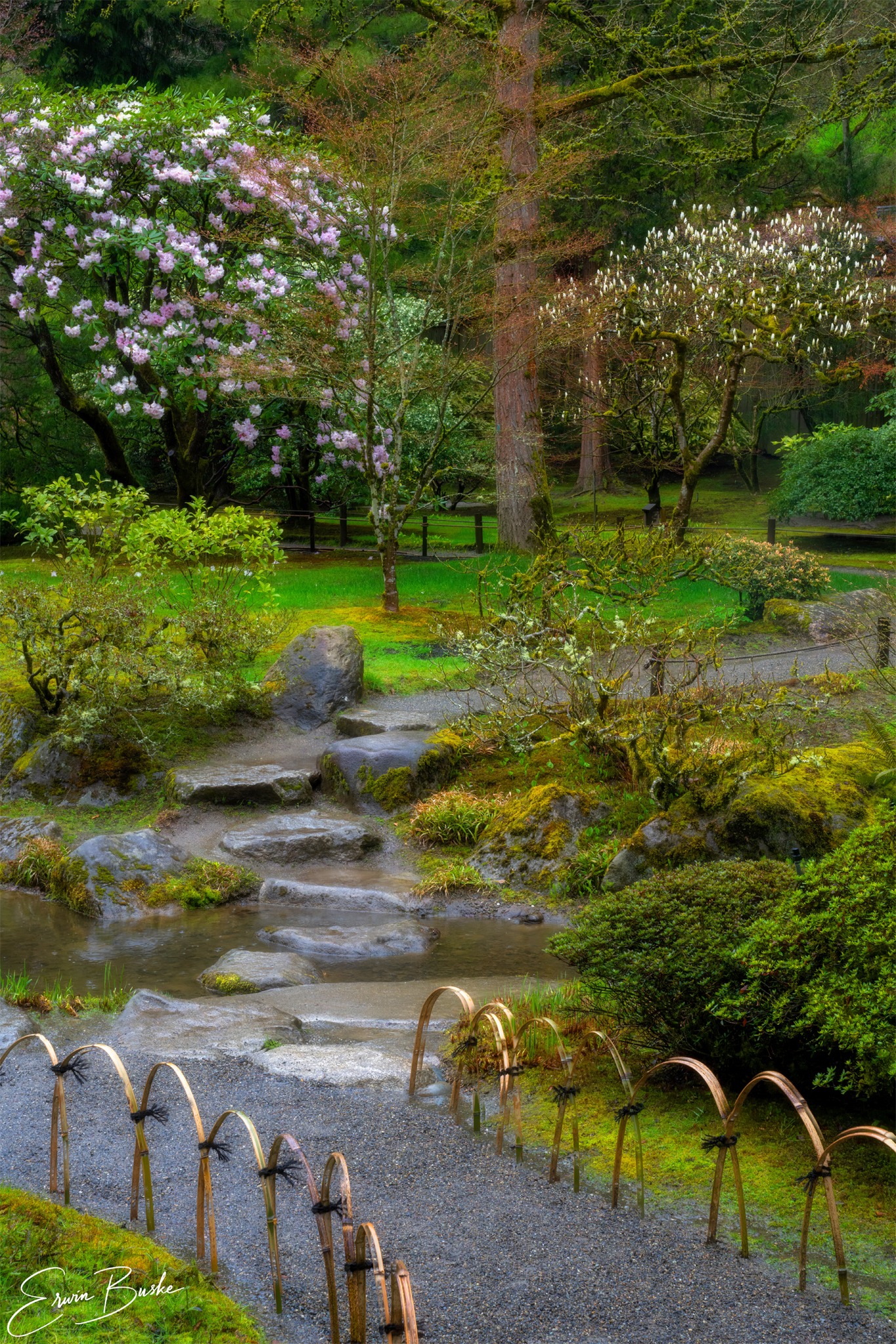 Seattle botanical gardens Japanese garden inspiration