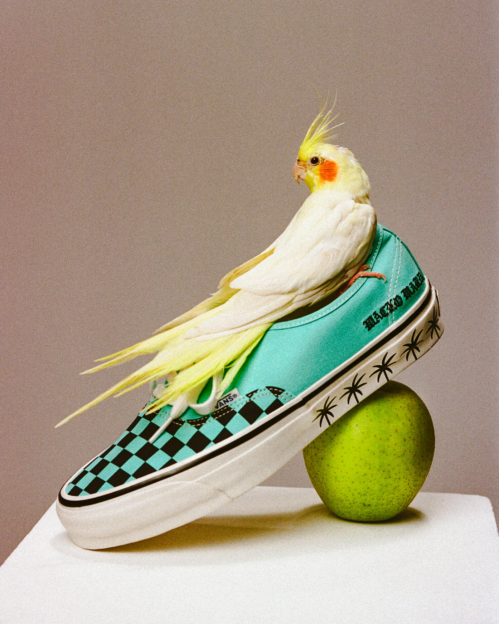 VANS x WACKO MARIA — LX AUTHENTIC 44​ Palm Tree & Checkerboard 