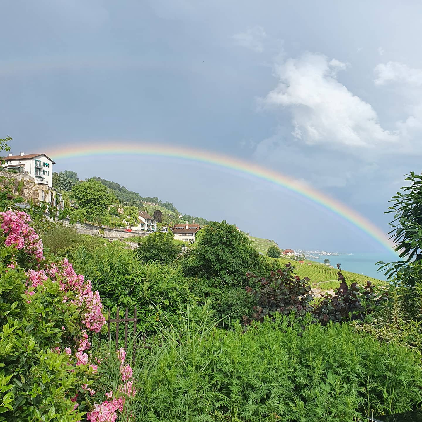 Domaine Bovy - Magnifique ! | Facebook