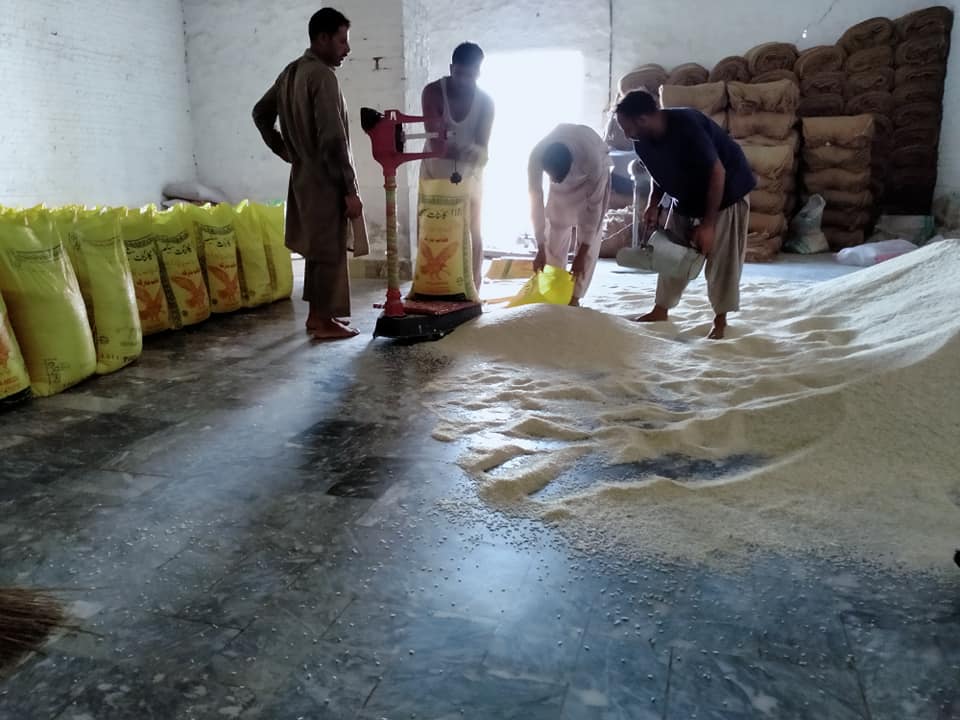 Baba rice TRD | Pasrur