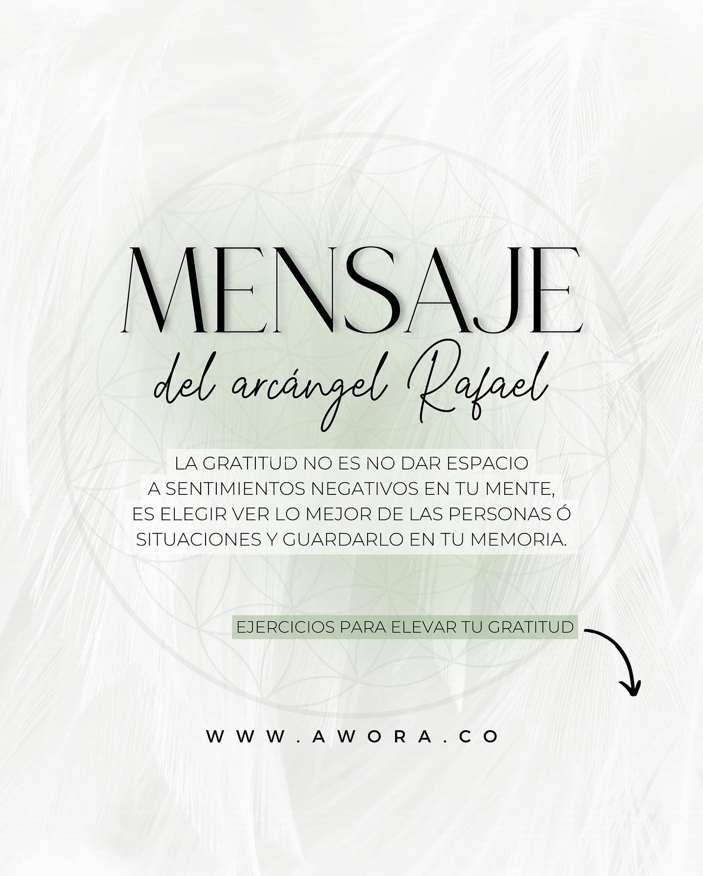 Awora.co - La gratitud es un sentimiento sutil y...