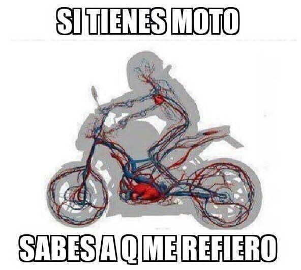 #repsol #viral #moto #reels #cbr1000rr | Armando Bregola Júnior