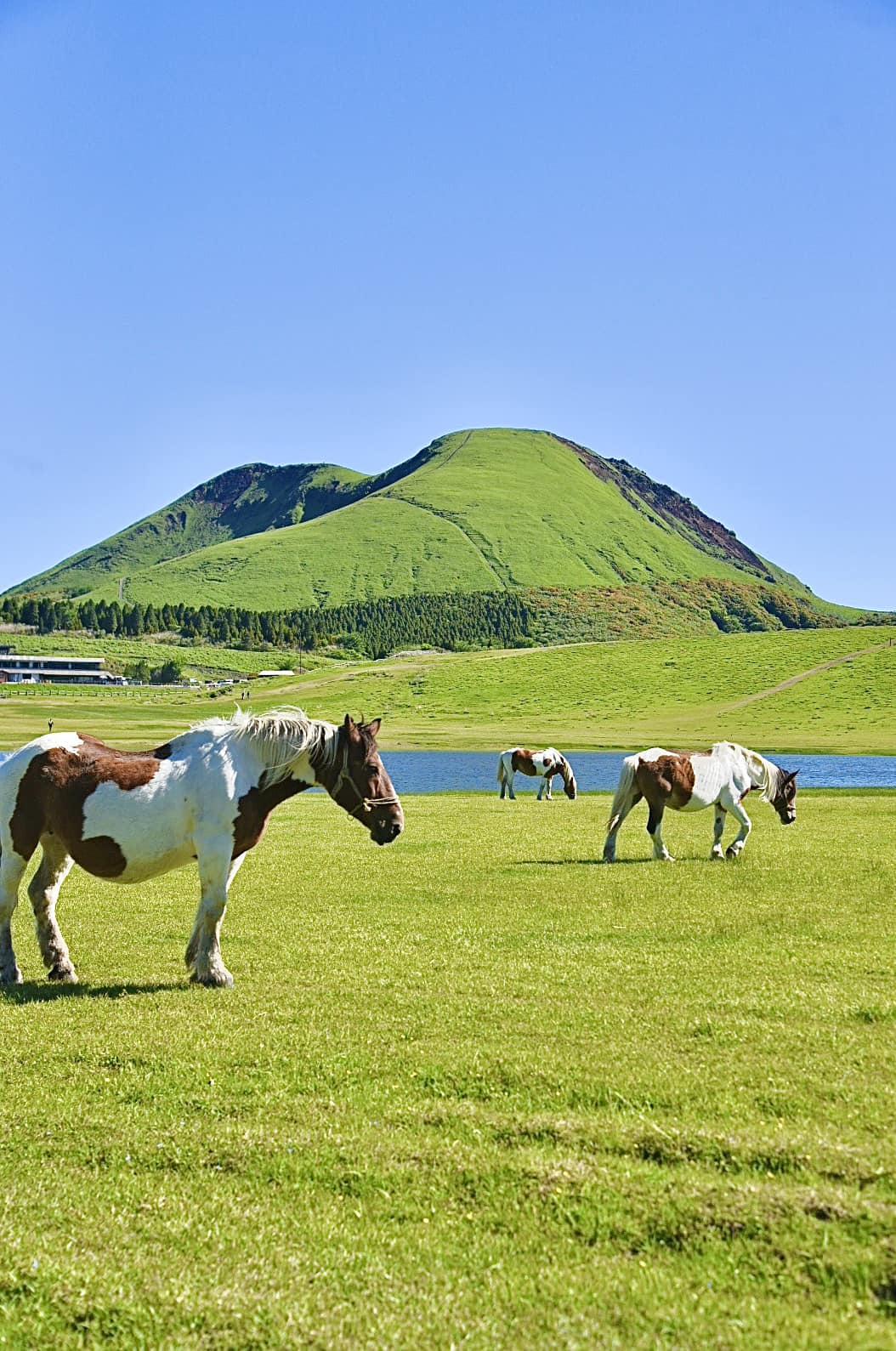 Kusasenrigahama grassland in Kyushu, Japan