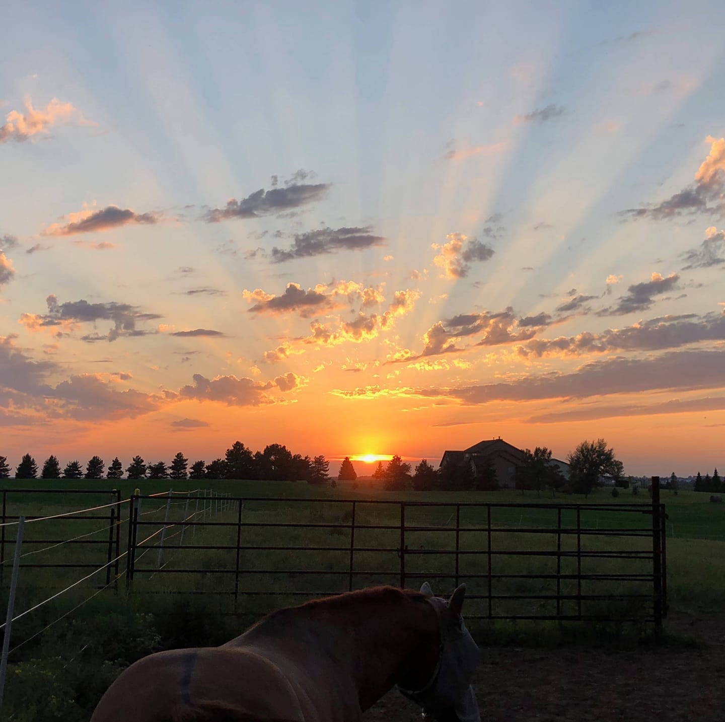Bundles make everyone's life easier. 88 bales moved in the barn and the ...