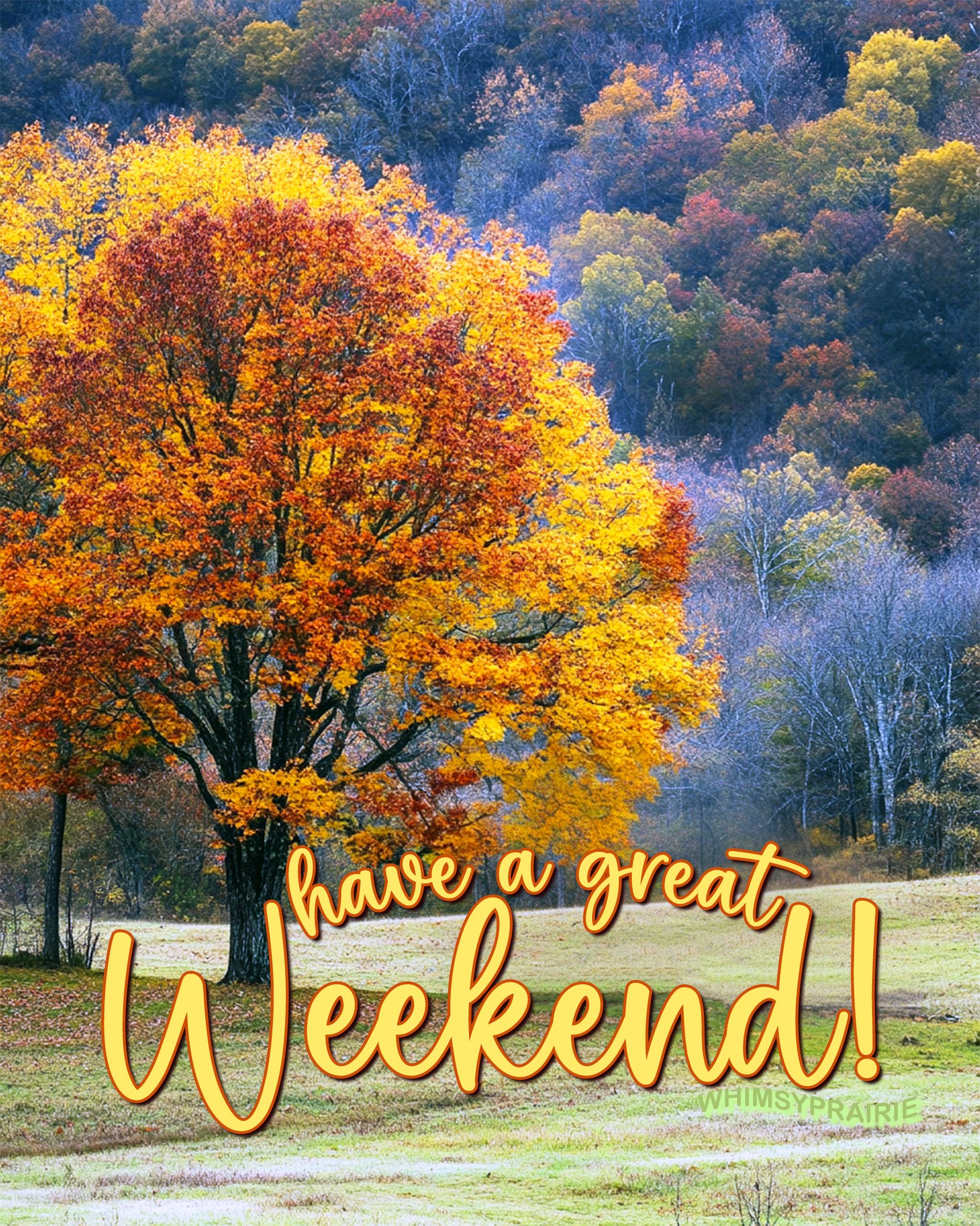 Whimsy - Happy weekend, everyone! Stay warm and safe! 🧡🍁🌻 ️🍂🤎 # ...