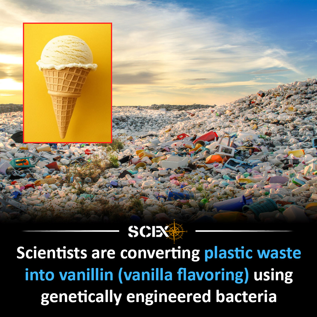 Science - Scientists Turn Plastic Waste into Vanilla Flavoring Using ...