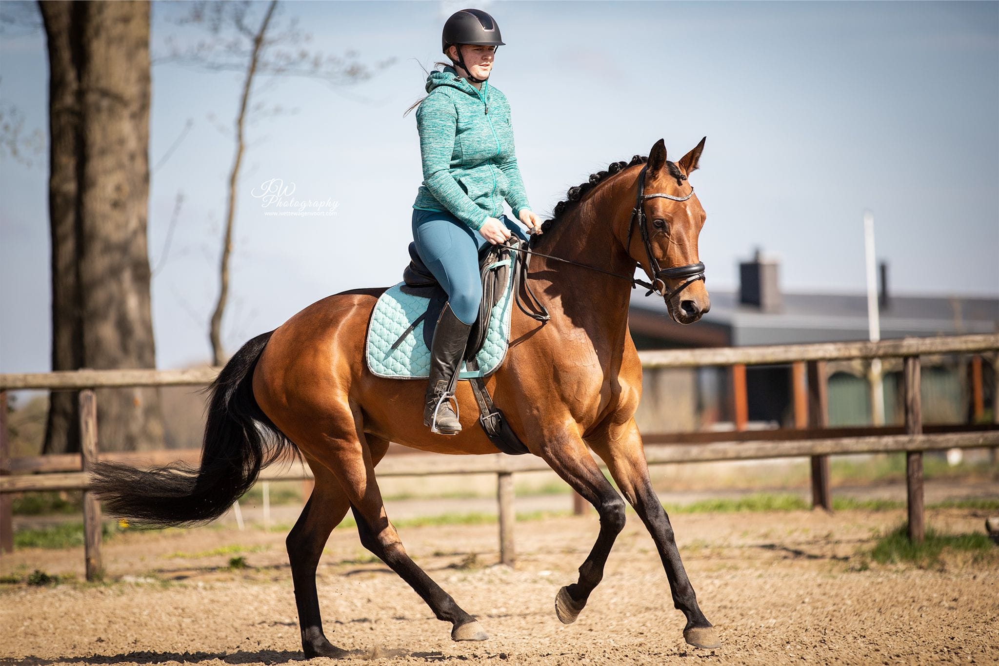 Tja er is een tijd van komen en gaan.... - Paardenluisteren