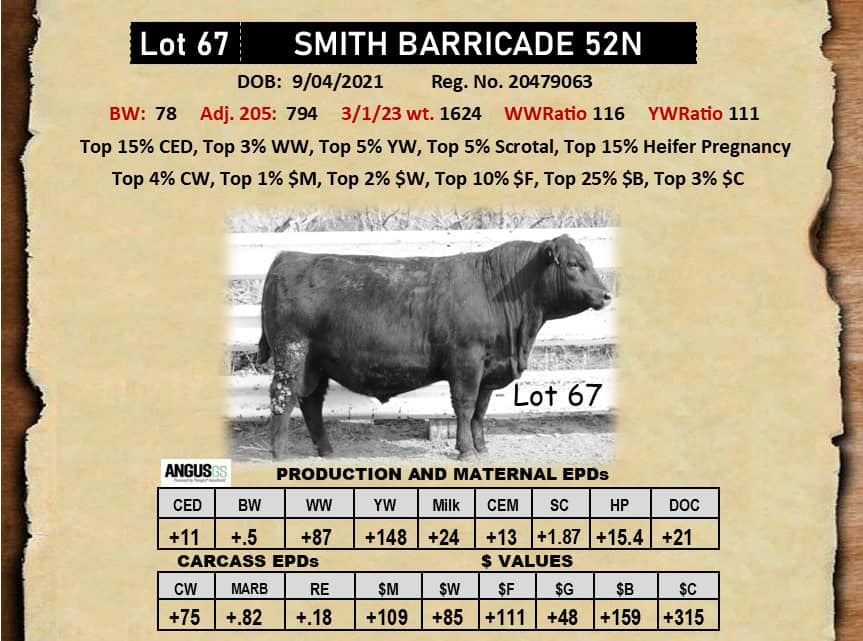 A 2021 Fall Bull sired by SITZ... - Smith Angus Ranch