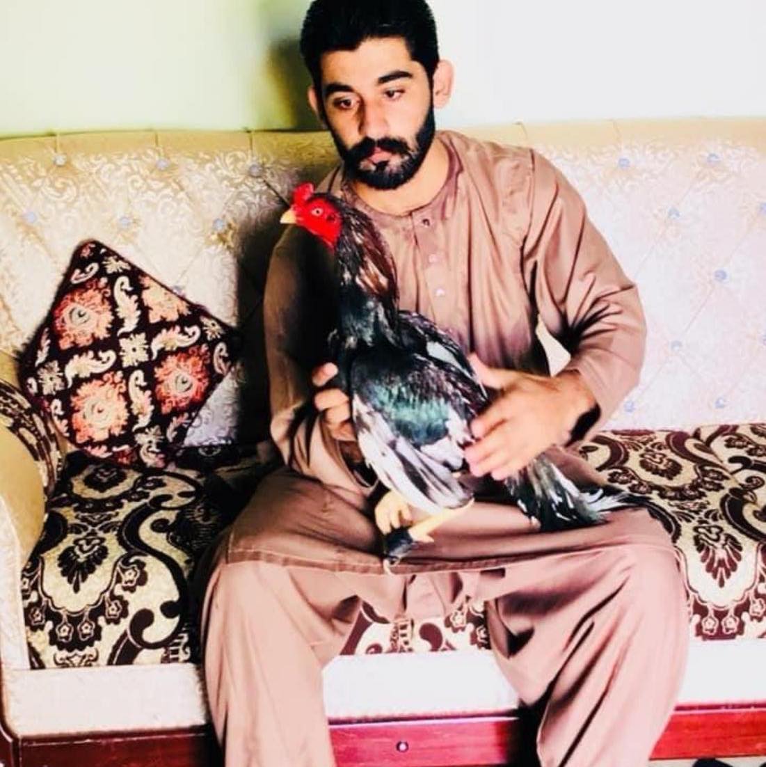 Gakher Aseel club Domeli | Pashtoons are brothers, grandfathers fifteen ...