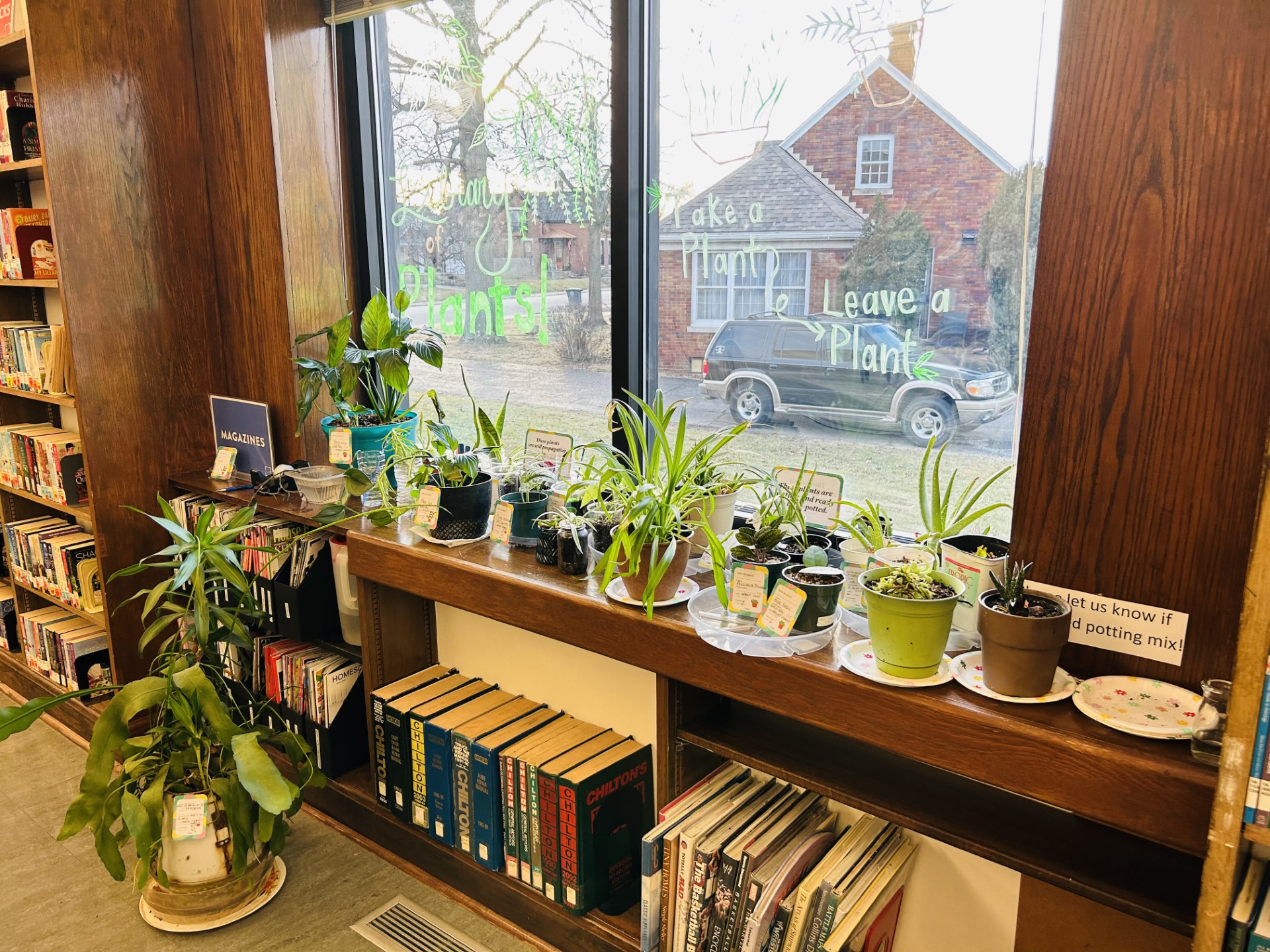 🌱 Plant update! 🌱... - Evansville Vanderburgh Public Library | Facebook