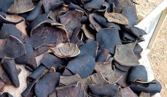Mojian sun-dried ponmo | Abeokuta