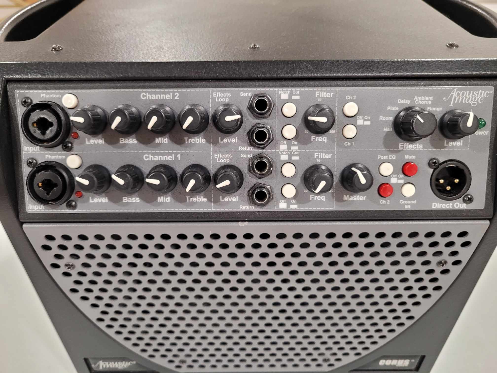 Acoustic Image Coda R Series III Double Bass Amp for Sale
