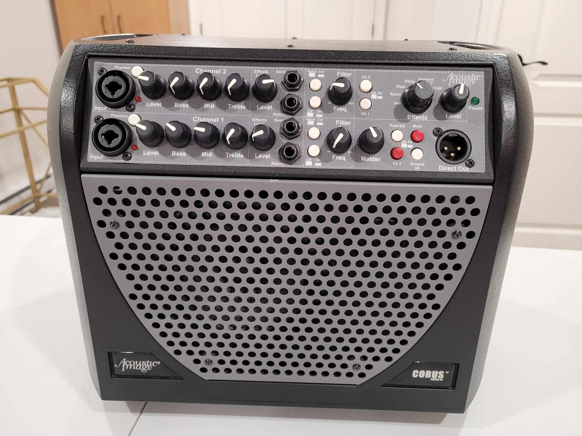 Acoustic Image Coda R Series III Double Bass Amp for Sale
