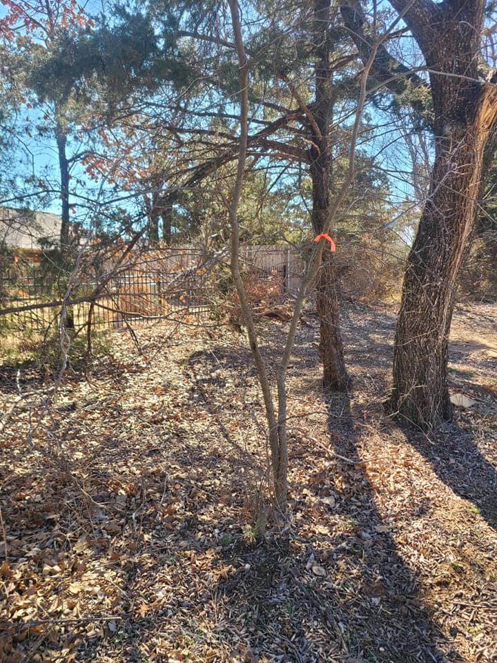 A.B.H Tree & Skidsteer Service | Shawnee OK