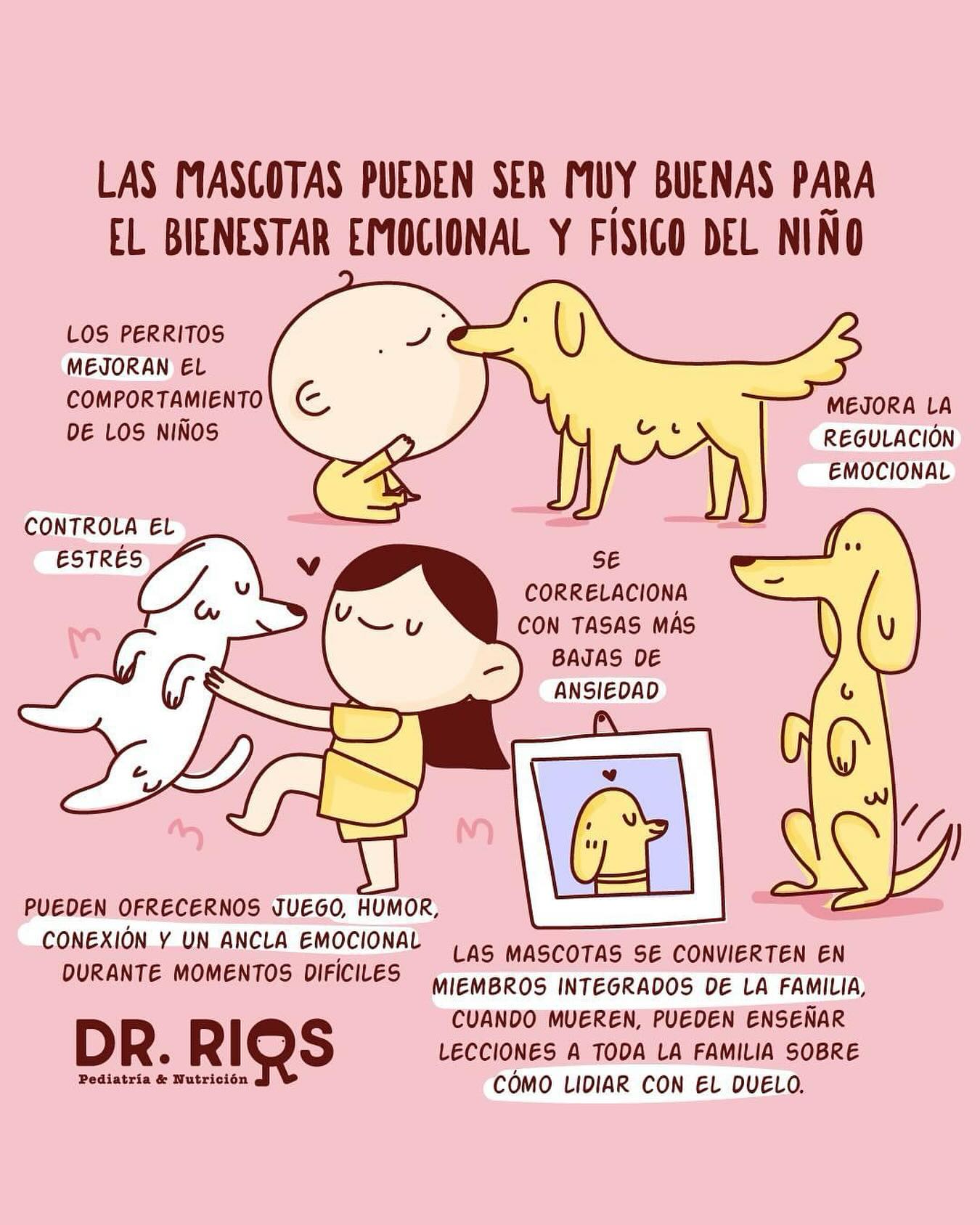 Las mascotas... - Dr. Alejandro Rios. Pediatría y Nutrición