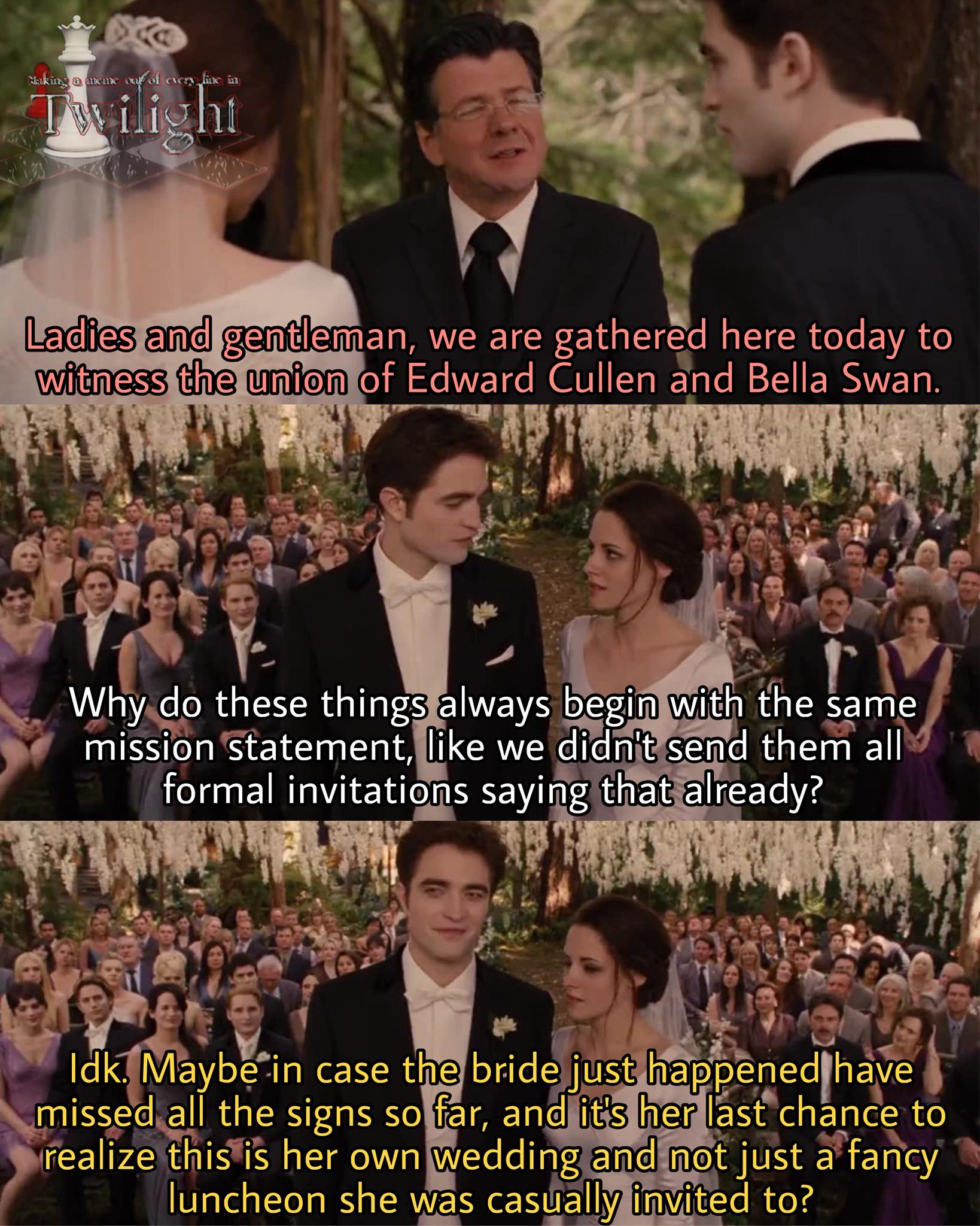 Making - Making a meme out of every line in Breaking Dawn Part 1 (Meme ...