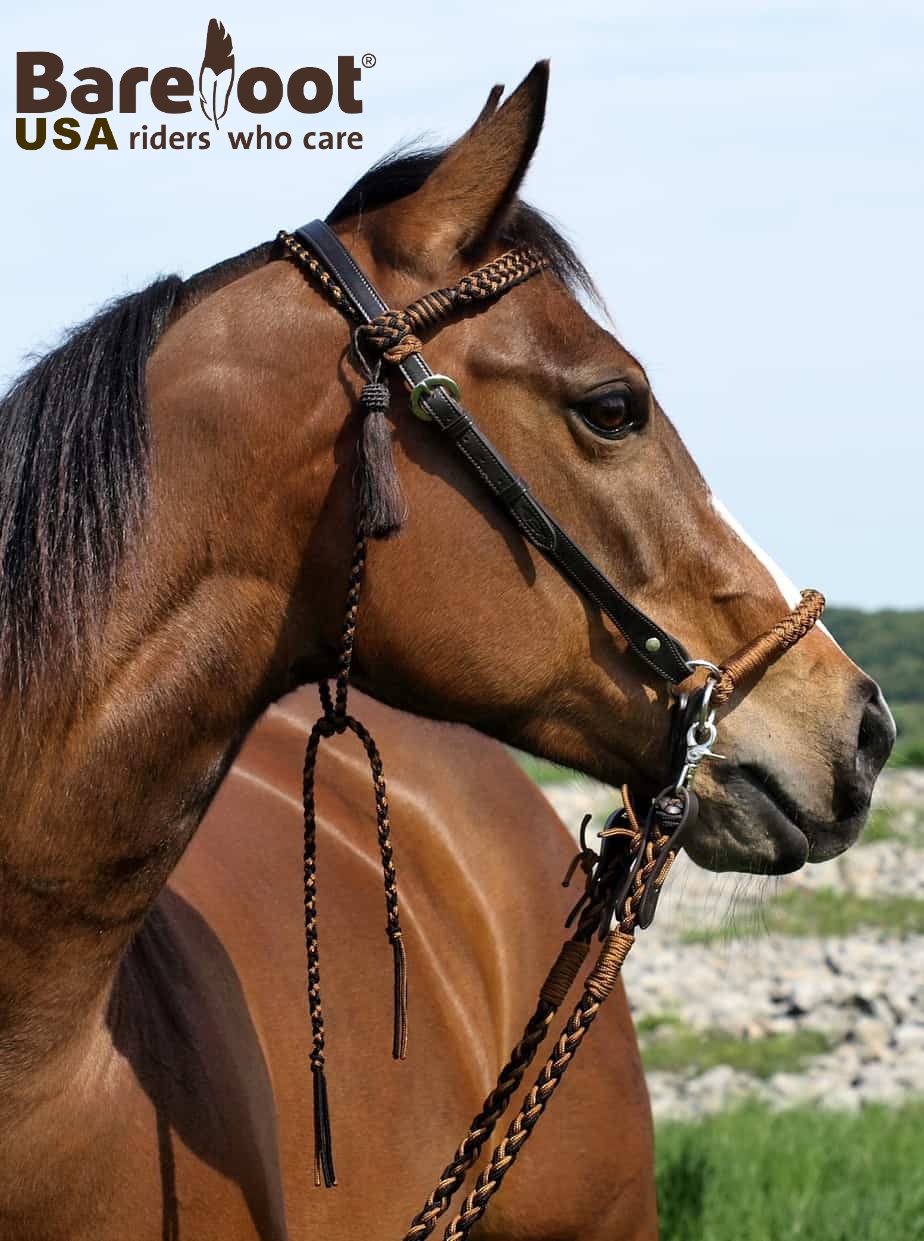 No force sidepull Barefoot Amber 2 in... - Action Rider Tack