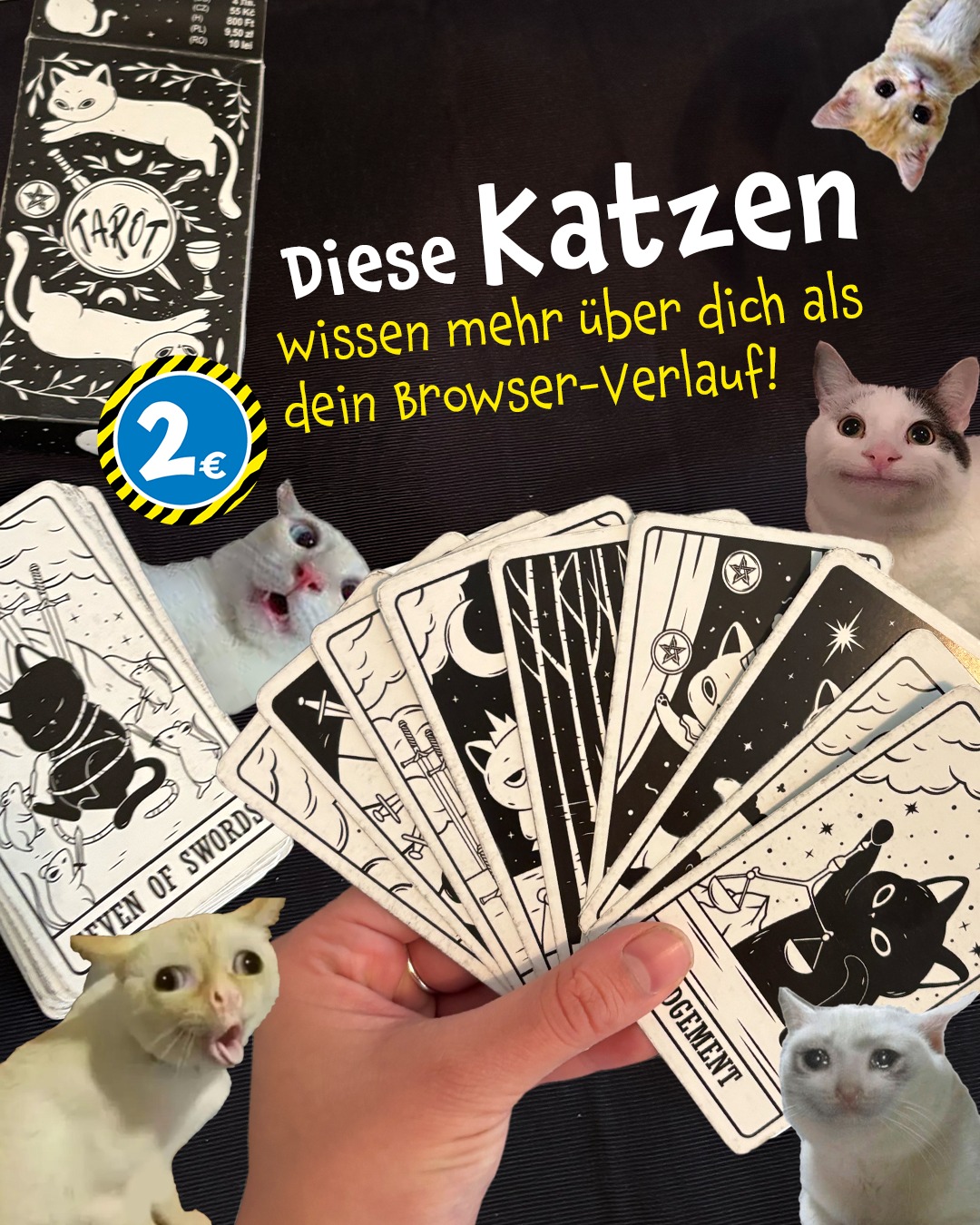 katze hundefutter Tales & Tails