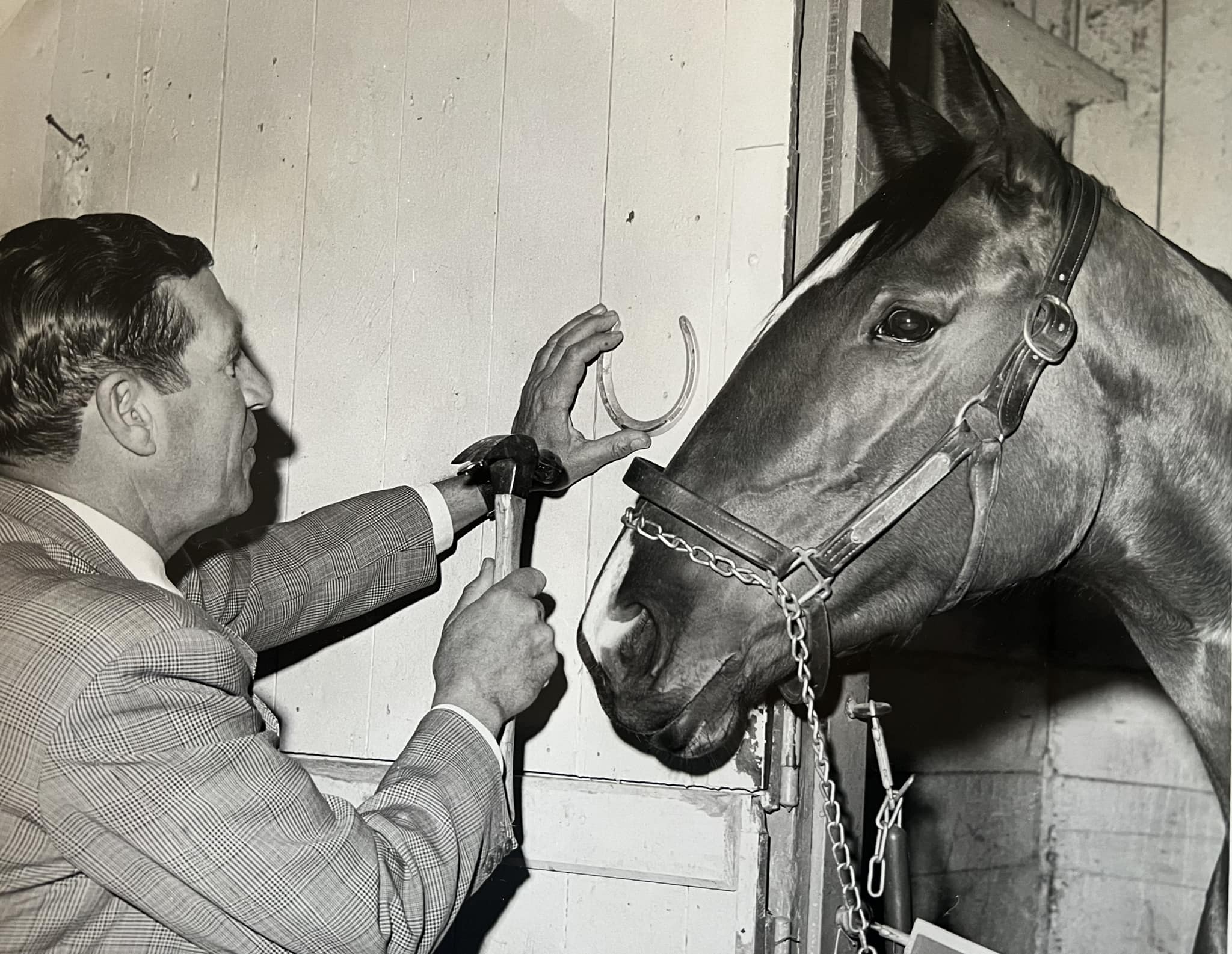 This is an original 1968 photo of... - Horse racing Legends | Facebook