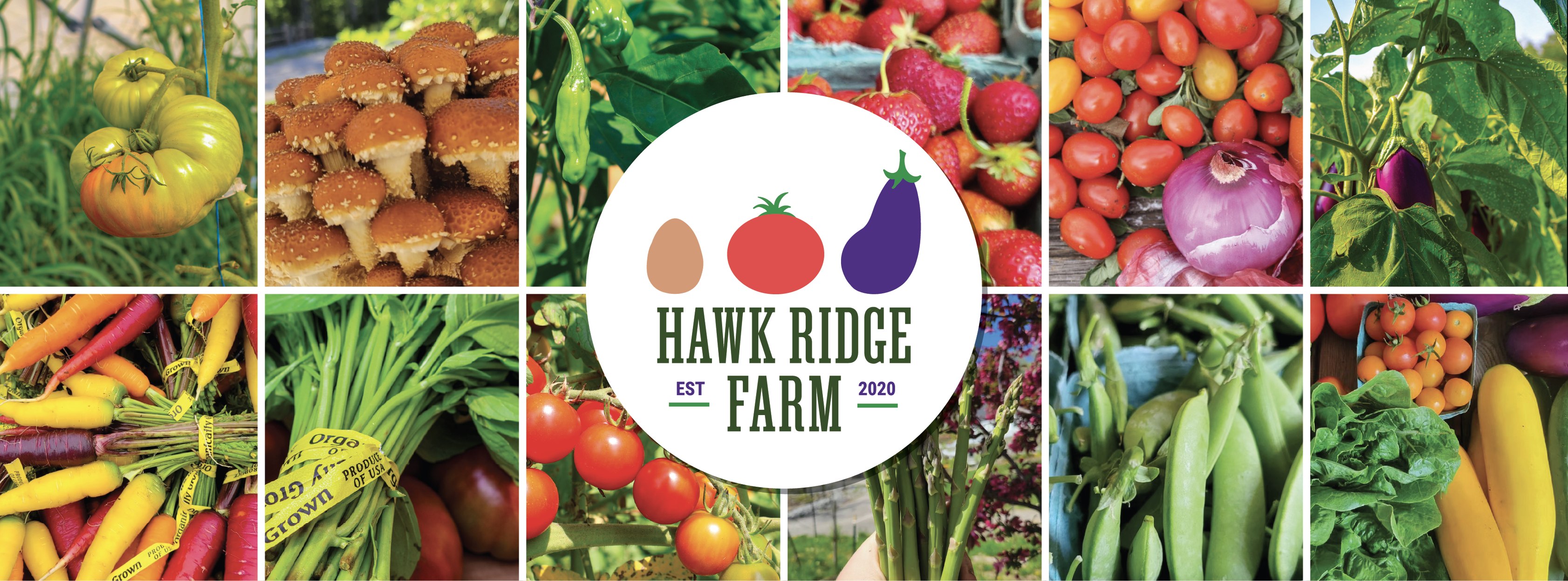 Hawk Ridge Farm | Lake Hopatcong NJ