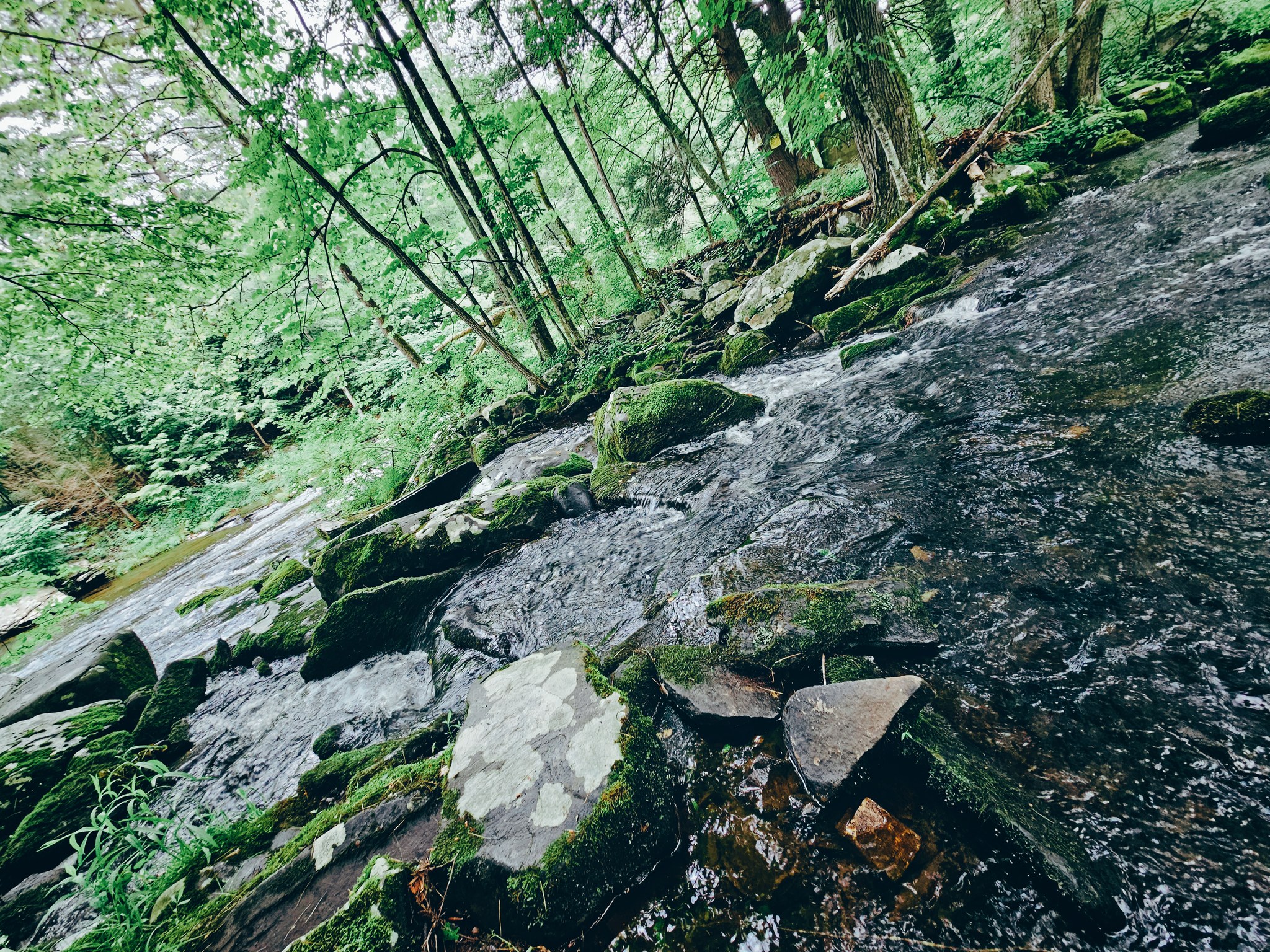 Ridge - There are many ways to define your location. We usually choose ...