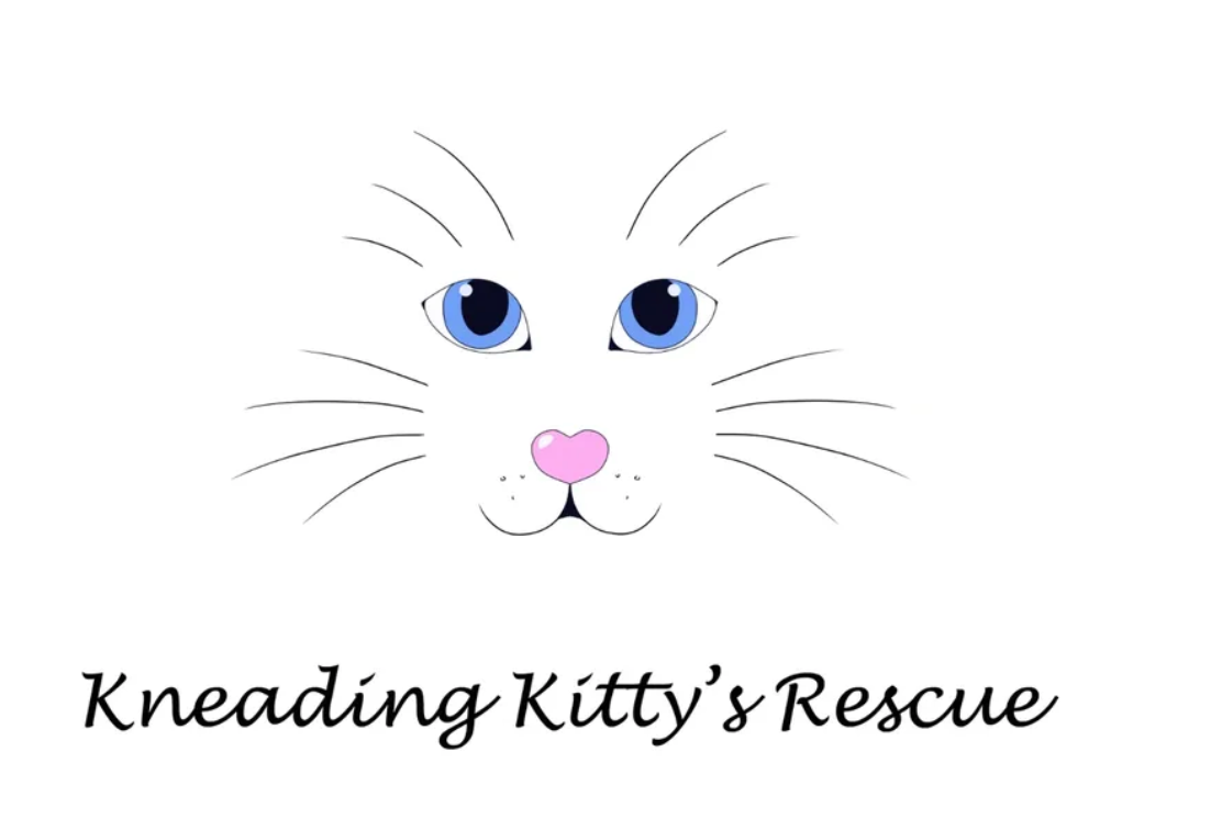 Kneading Kitty’s Rescue Adoption Center Volunteers | Facebook