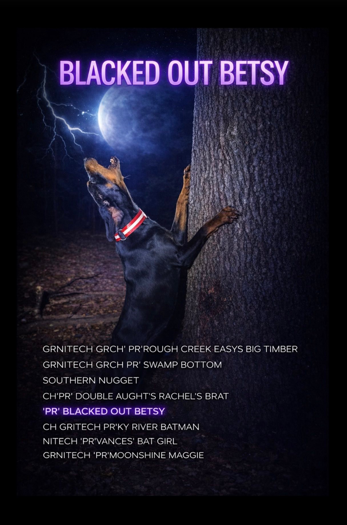 Wilson's Black and Tans, LLC