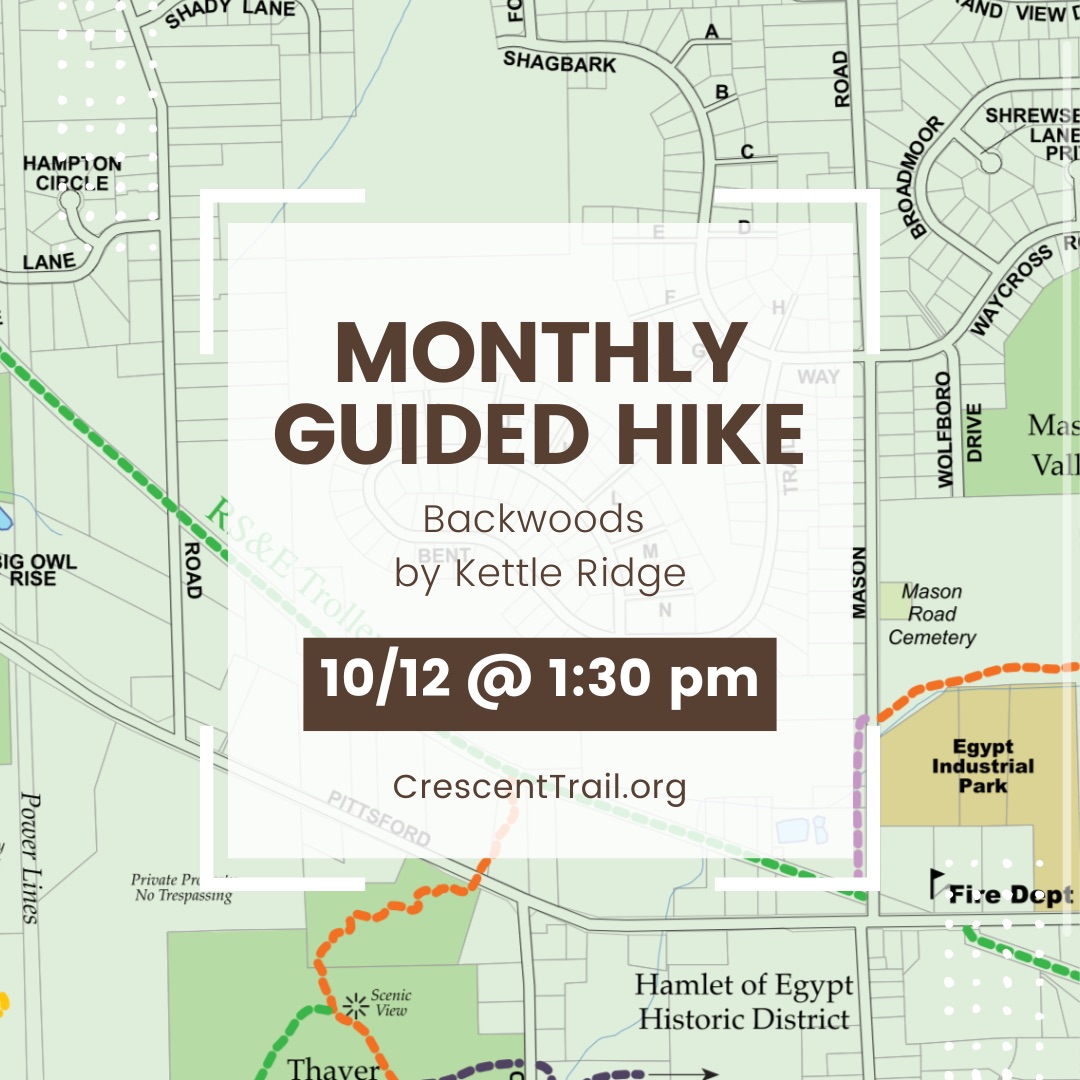 CTHA October Guided Hike: Backwoods by Kettle Ridge