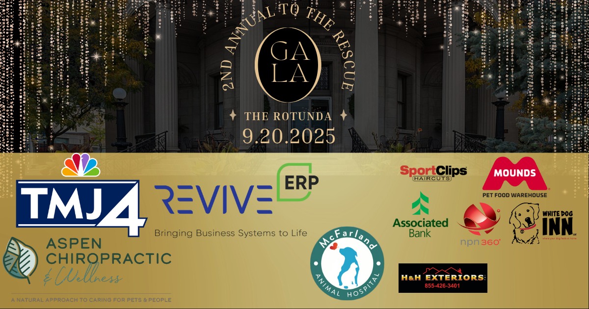 Albert's - 🎉 5 Reasons You Can’t Miss the 2nd Annual To The Rescue Gala ...
