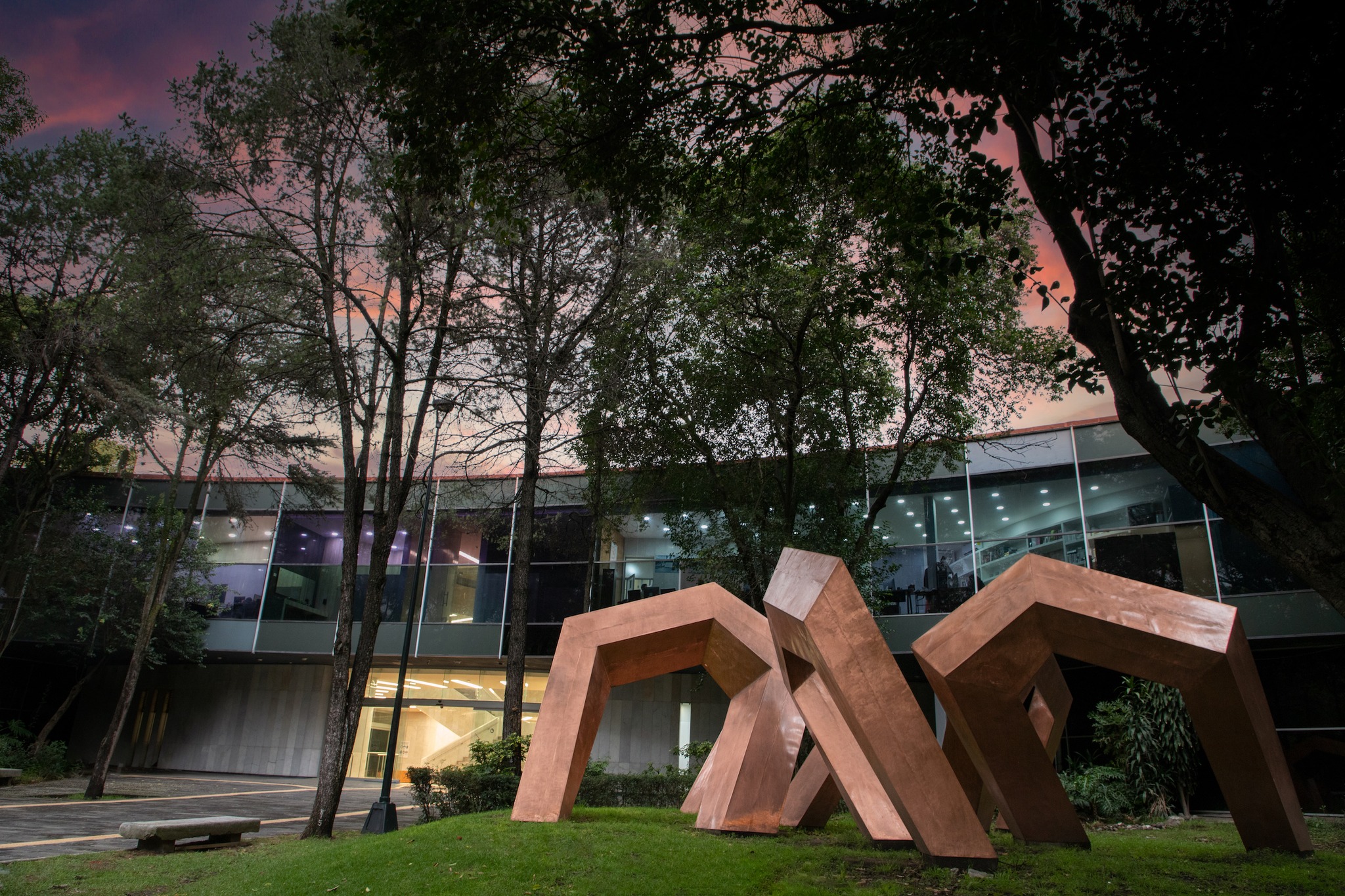 Museo de Arte Moderno de... - Museo de Arte Moderno de México