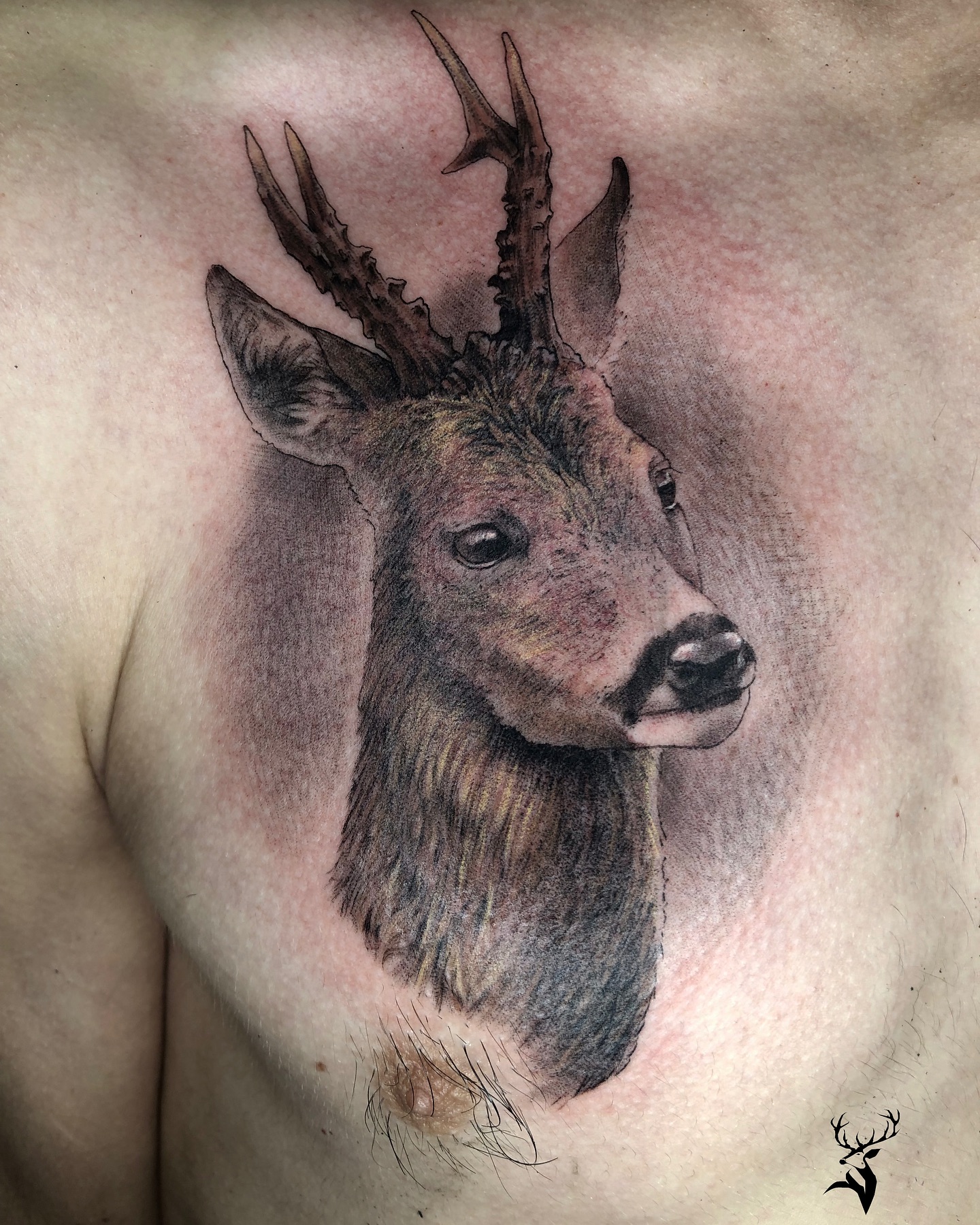 A tattoo for Guillermo, featuring a deer.
