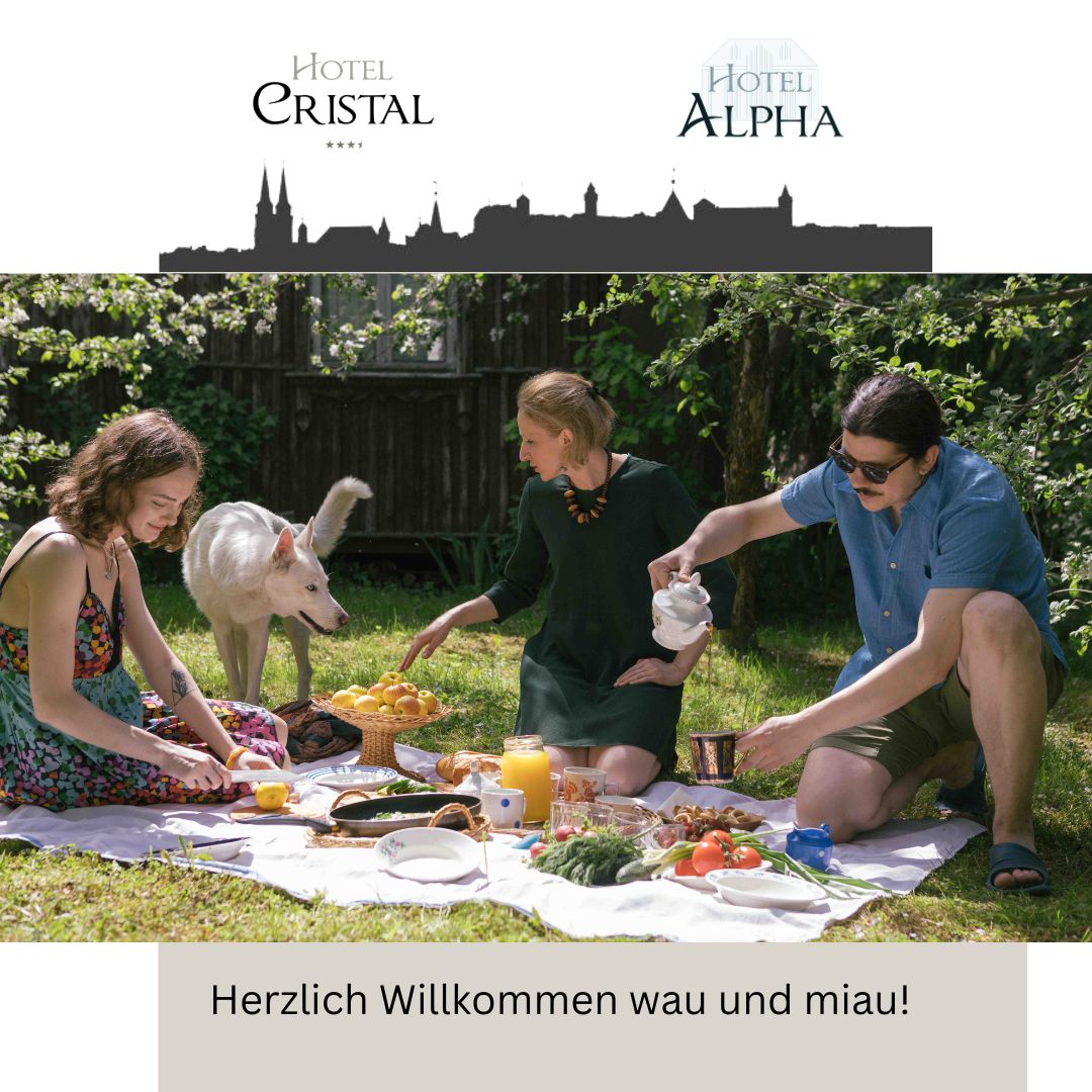 Hotel Alpha | Nuremberg