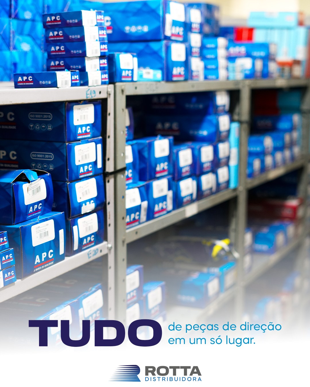 Rotta Distribuidora