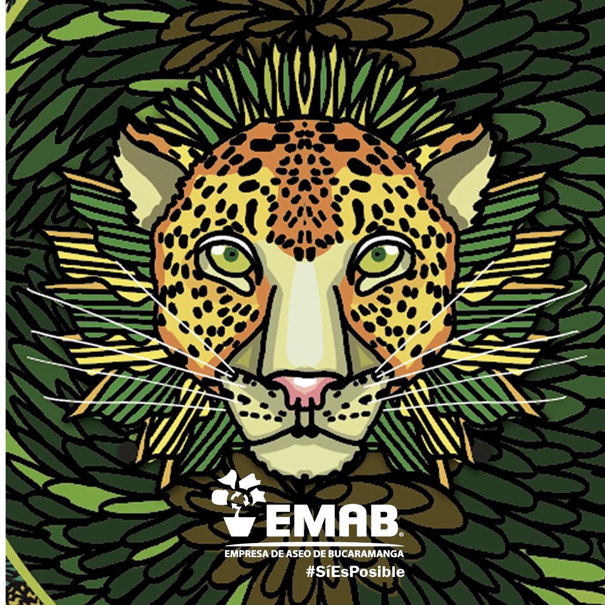 Empresa de Aseo de Bucaramanga EMAB | Bucaramanga