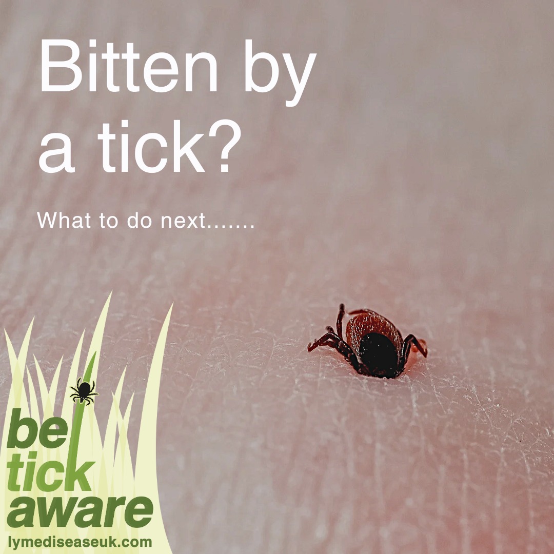 Lyme Disease UK - 🕷 If you’ve been bitten by a tick,... | Facebook