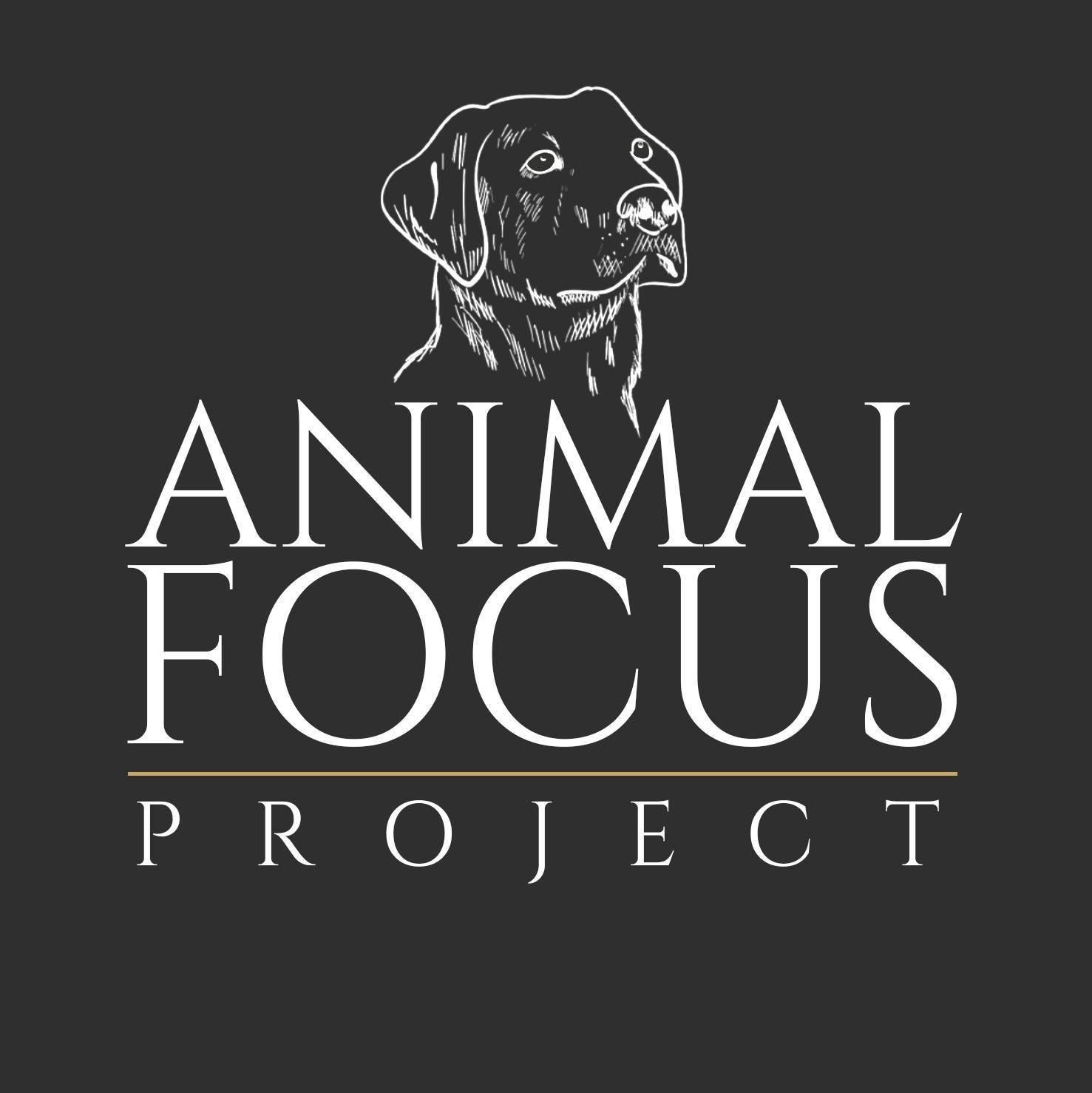 Animal Focus Project added a new... - Animal Focus Project