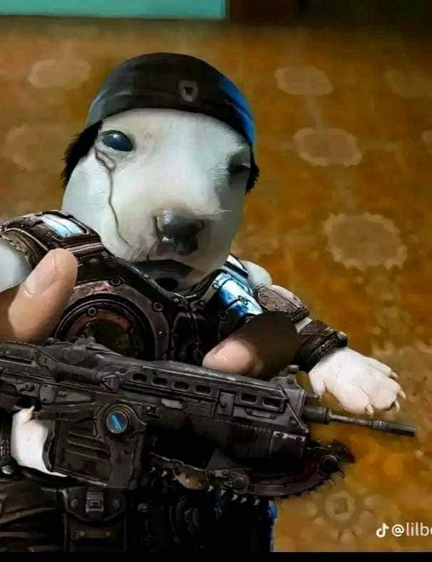 Cod Mobile Cringe Memes