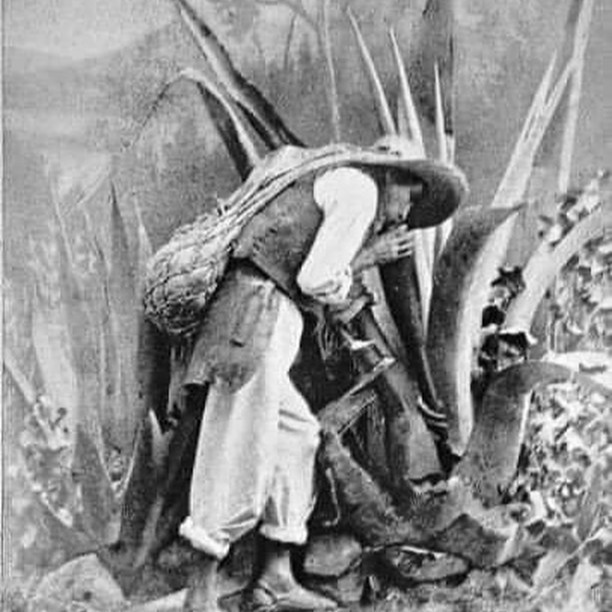 Destino - Tlachiquero. Este personaje como muchos lo saben, fue de suma ...