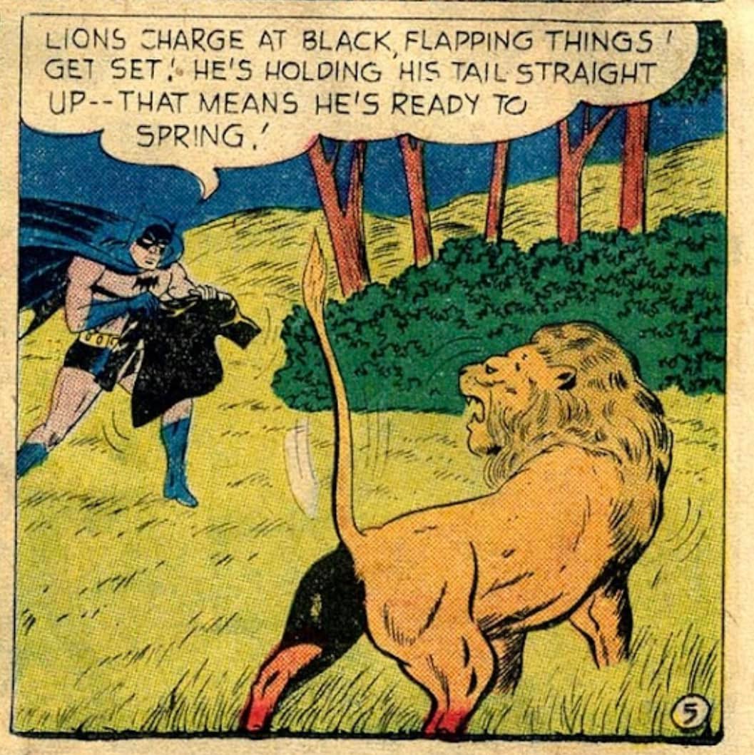 History of The Batman - As the Caped Crusader and Boy Wonder help ...