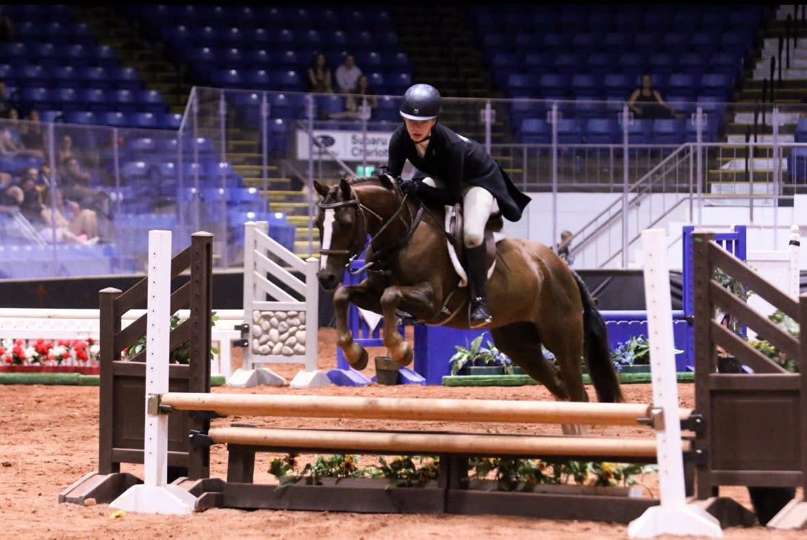 Windy River Stables added a new photo. - Windy River Stables